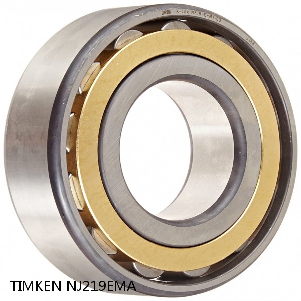 NJ219EMA TIMKEN Cylindrical Roller Radial Bearings