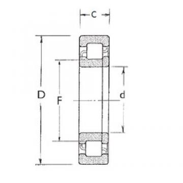 30 mm x 62 mm x 16 mm  FBJ NUP206 cylindrical roller bearings