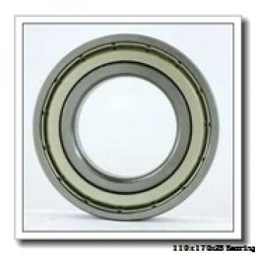 110 mm x 170 mm x 28 mm  ISO 7022 C angular contact ball bearings