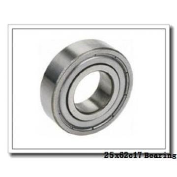 25,000 mm x 62,000 mm x 17,000 mm  NTN NJ305 cylindrical roller bearings