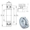 25 mm x 62 mm x 17 mm  INA BXRE305-2Z needle roller bearings