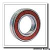 30 mm x 55 mm x 13 mm  ISB NU 1006 cylindrical roller bearings