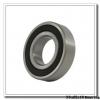 30 mm x 62 mm x 16 mm  Loyal NF206 E cylindrical roller bearings