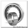 50 mm x 110 mm x 40 mm  NBS SL192310 cylindrical roller bearings