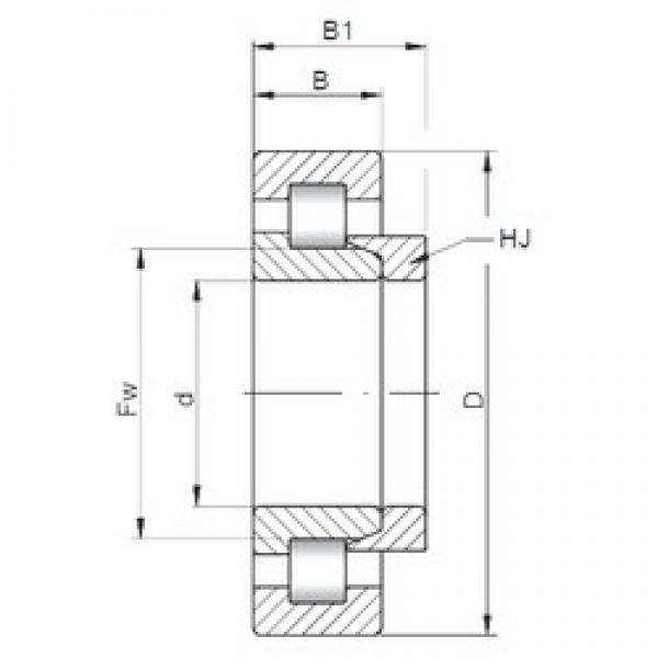 25 mm x 62 mm x 17 mm  ISO NH305 cylindrical roller bearings #3 image
