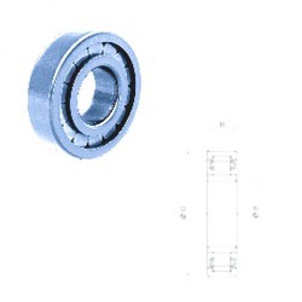 30 mm x 62 mm x 16 mm  Fersa NU206FM cylindrical roller bearings #3 image