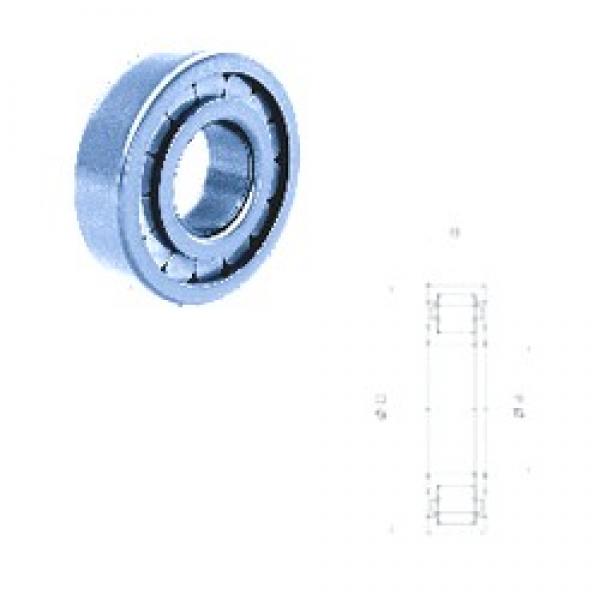 30 mm x 62 mm x 16 mm  Fersa NUP206FM cylindrical roller bearings #3 image